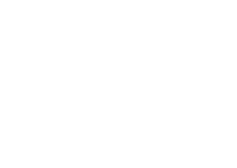 INP
