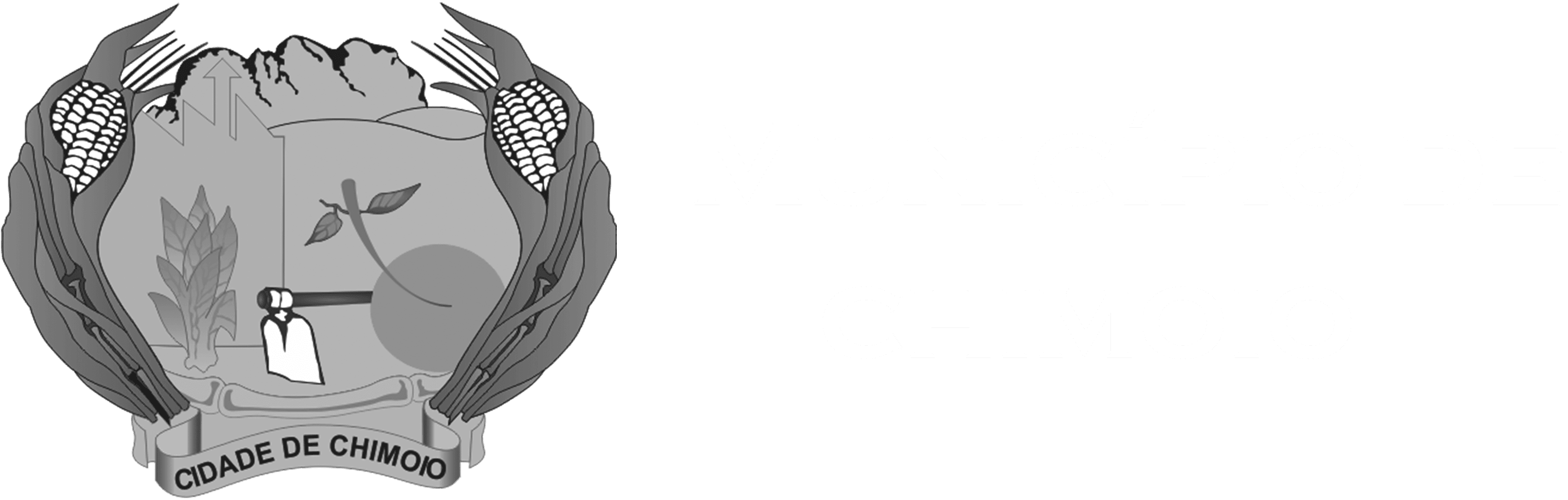 Municipio de Chimoio